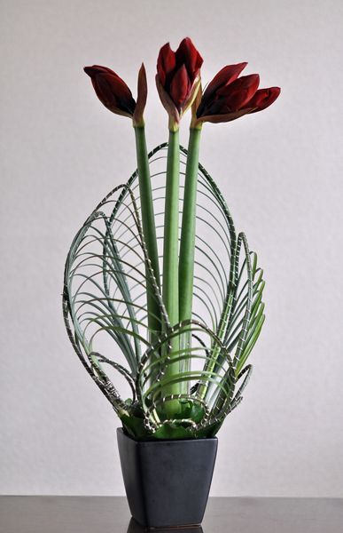 開花店學插花