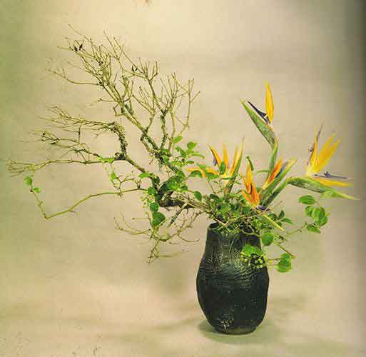 哪里學(xué)花藝師