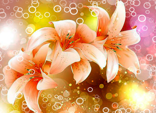 百合花怎么養(yǎng)？愛丁堡簡述百合花種植護(hù)理的辦法