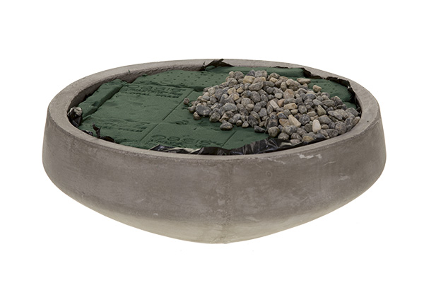 植物設(shè)計(jì)的應(yīng)用技巧